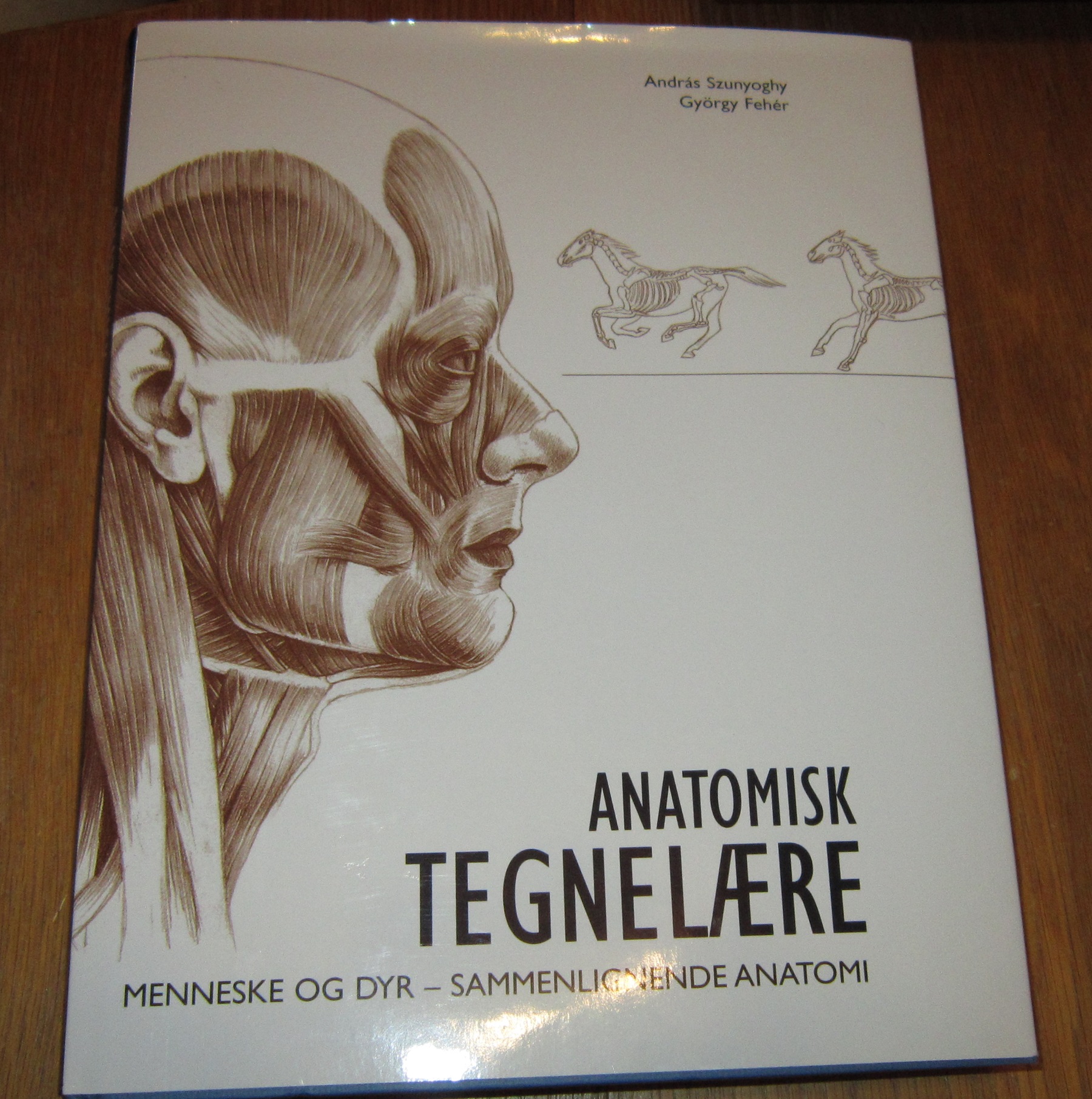 Anatomisk tegnelære : menneske - dyr - sammenlignende anatomi