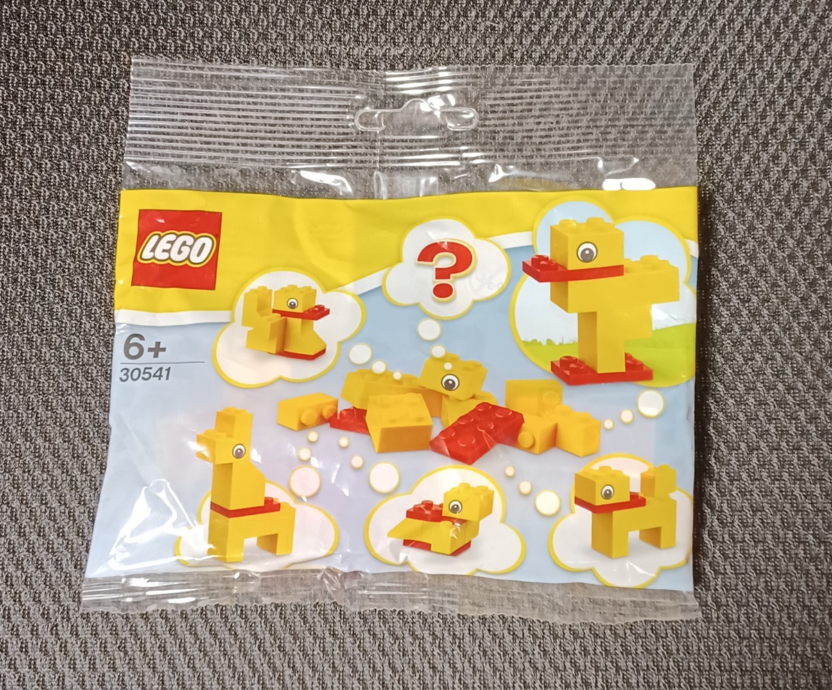 0010 Lego 30541