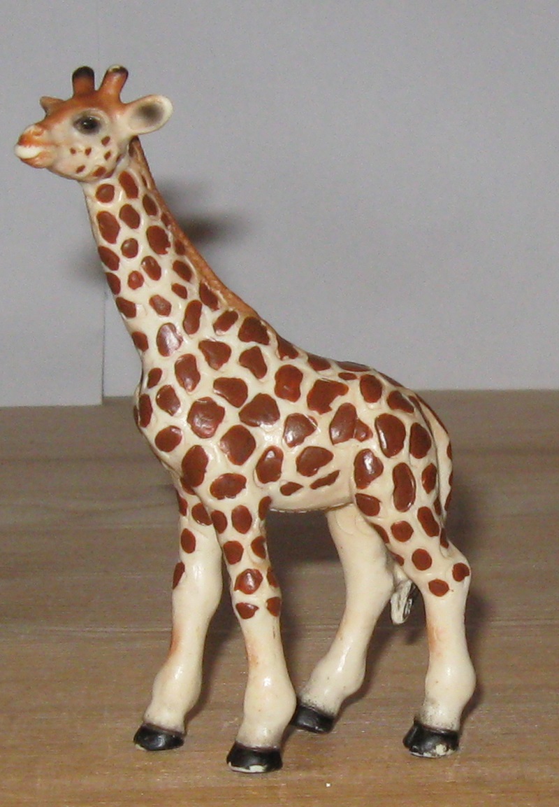 0050 Giraf unge