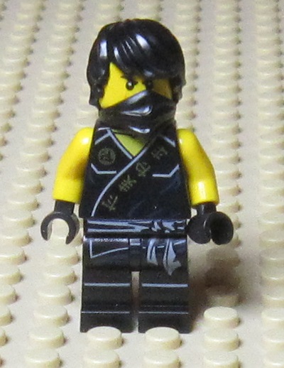 0350 Lego Cole