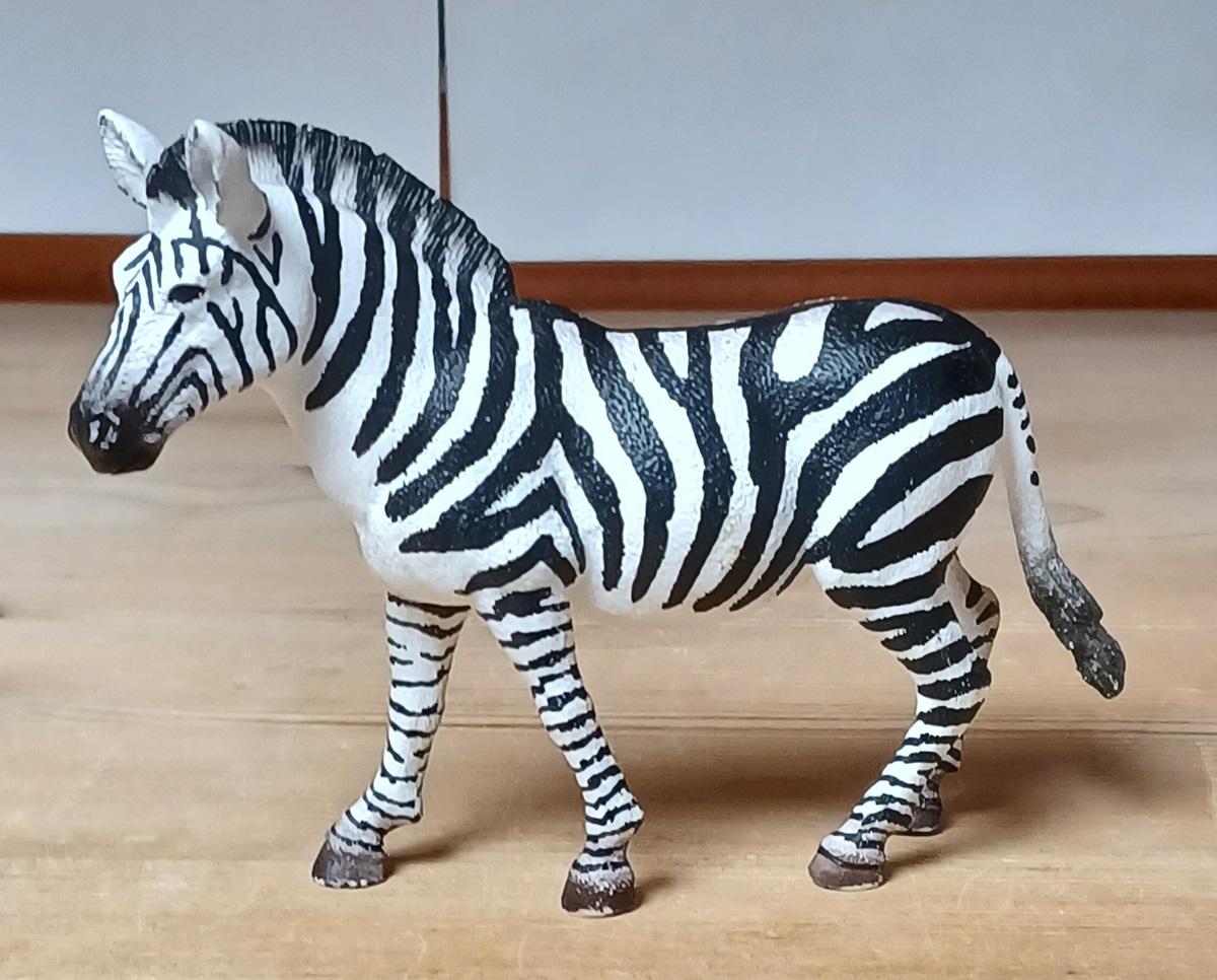 0045 Zebra