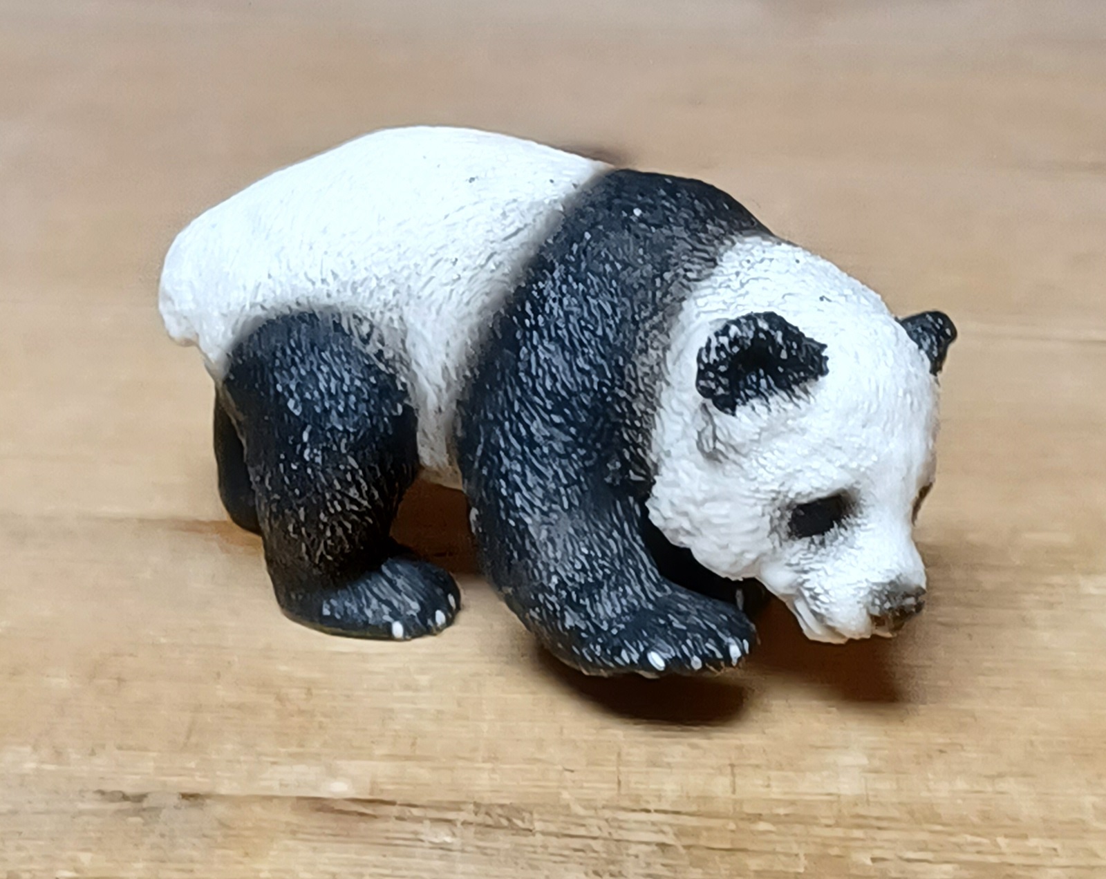 0058 Panda ( Unge )
